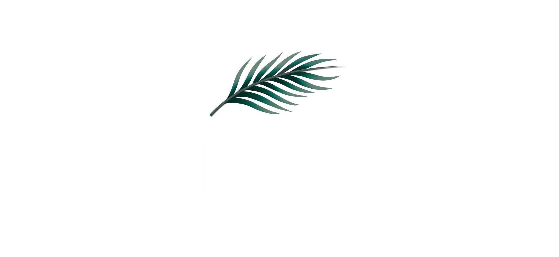 unblur skin studio